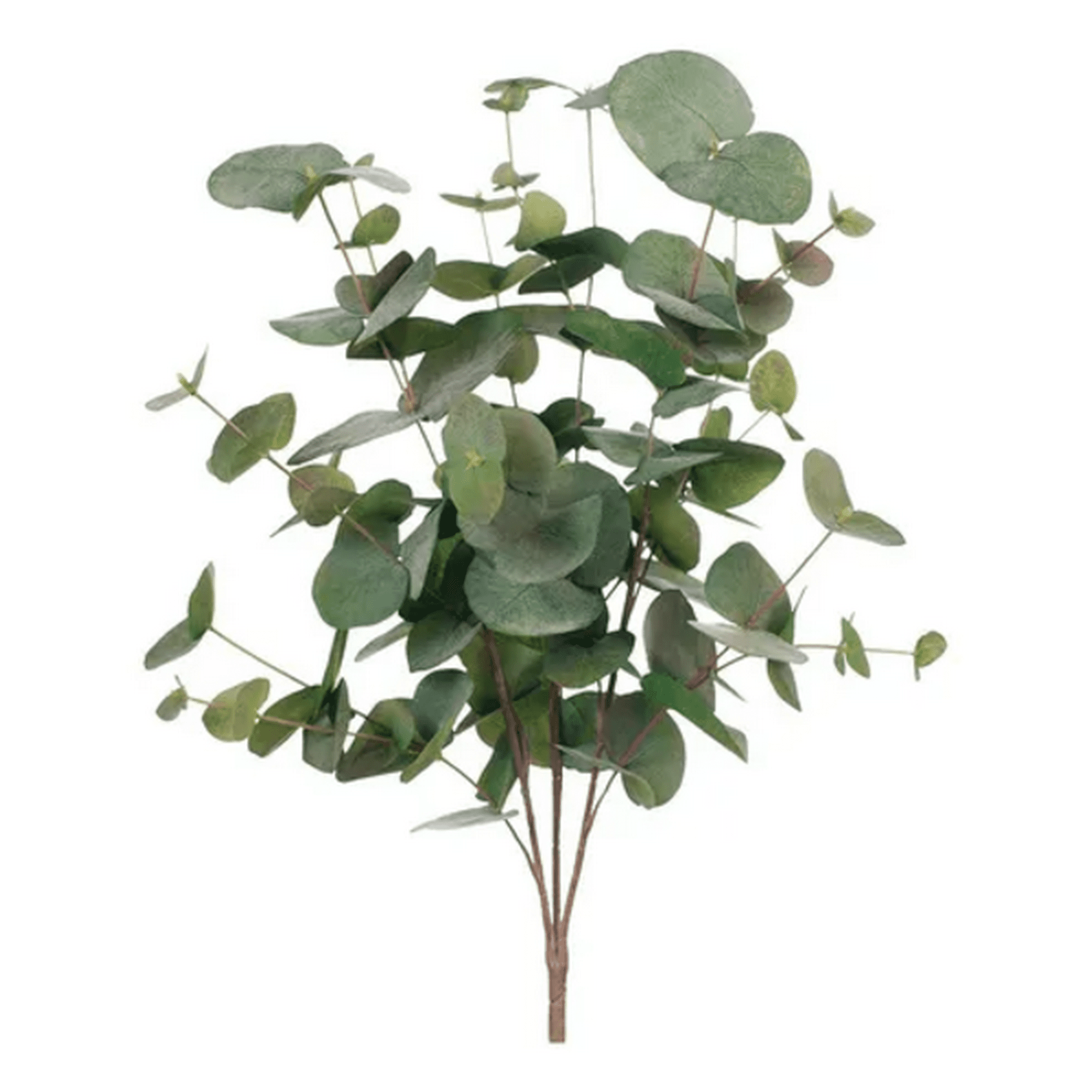 Genérico - Planta Artificial Eucalipto Decoración Hogar