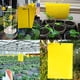 thumbnail image 2 of 10pcs Yellow Double-sided Greenhouse Sticky Traps Bugs Sticky Board Multiple Flying Insect Catching Control Sticker, 2 of 3