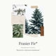 thumbnail image 3 of Aceite de recambio Reed Difusor Oil Thymes Frasier Fir, 230 ml, 3 of 7