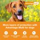 thumbnail image 3 of Solución Tópica Advantage Multi para Perros 25-40 kg 6 Dosis, 3 of 8