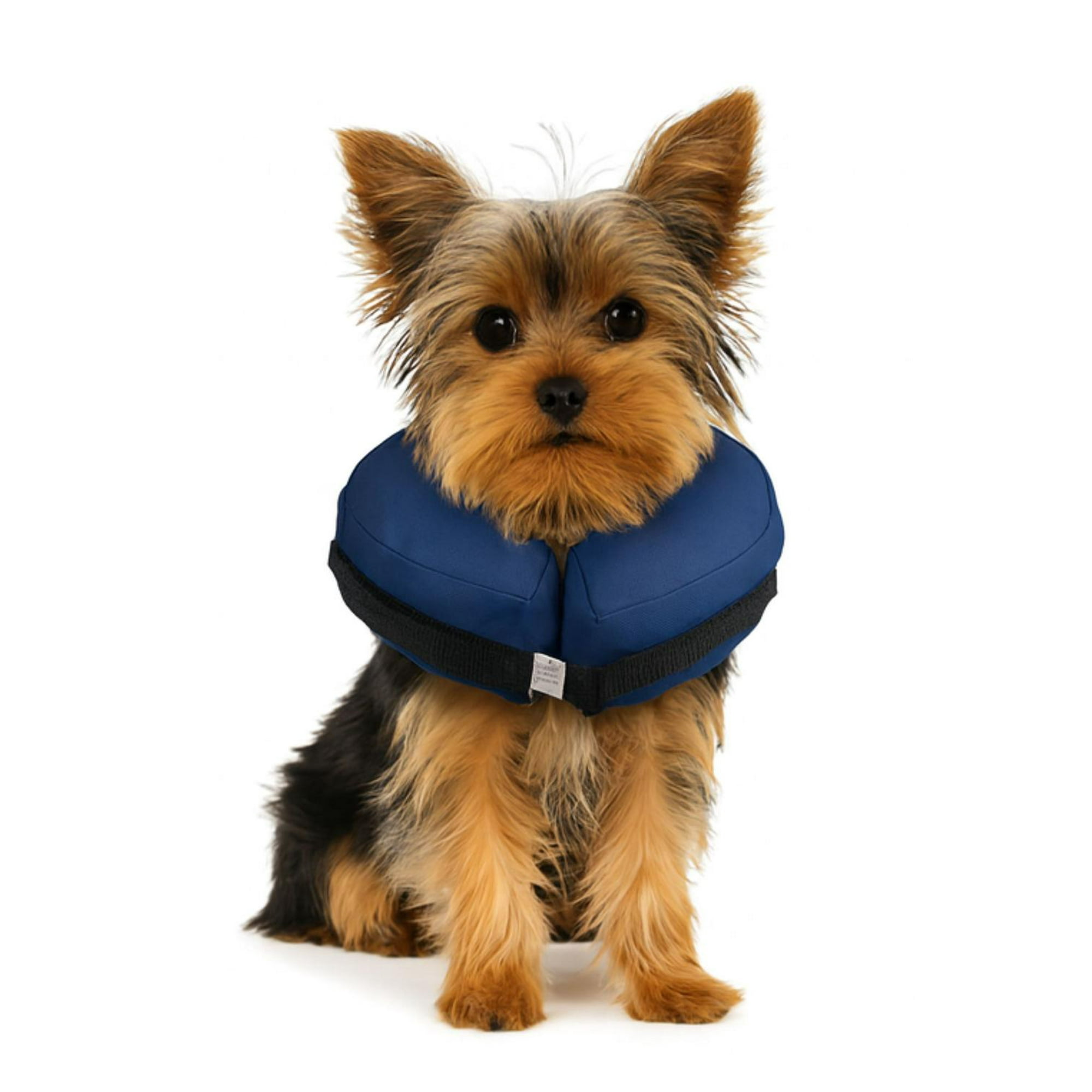 Genérico - Collar Inflable Xs (-15 Cm) Recuperación Perros Y Gatos Blanco Xs