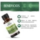 thumbnail image 5 of Swanson Aceite De Oregano Extracto Liquido 174 Servicios ***, 5 of 7