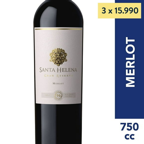 Vino Tinto Merlot Gran Reserva 13° Botella, 750 cc