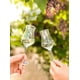 thumbnail image 2 of Pisco Eterno David Arellano - Gran Pisco (Colo Colo), 2 of 3