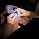 thumbnail image 4 of Lámpara para tejer Lumos Crafter Light alrededor del cuello recargable, 4 of 9