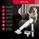thumbnail image 2 of Cepillo y aspiradora Thor Cordless Usb Pet Vac, 2 of 6