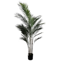 Corel - Planta Decorativa Palmera Areca Hoja Fina 150 Cm