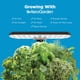 thumbnail image 4 of Jardín hidropónico interior AeroGarden Harvest Lite Black, 4 of 9