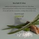 thumbnail image 4 of Recarga de Ambientador Enviroscent 2 Unidades Sal Marina y Aloe, 4 of 6