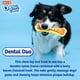 thumbnail image 5 of Juguete masticable para perros Hartz Chew 'n Clean Dental Duo, grande, paquete de 3, 5 of 8