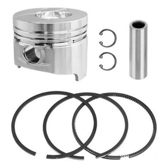 Kit Pistón Anillos Para Motor Diesel 195f