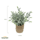 thumbnail image 5 of Salvia Planta Artificial con Macetero Decoración SunnyYard, 5 of 5