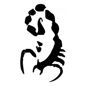 Rienda Libre Graphics - Decomural Scorpio Zodiac Sign Ws-15472