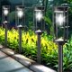 thumbnail image 1 of Luces Solares Para Sendero Paquete De 8 Impermeables Blanco Frío, 1 of 7