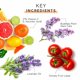 thumbnail image 4 of Sérum MyChelle Dermaceuticals Perfect C™ con 17% de vitamina C, 4 of 7