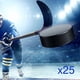 thumbnail image 5 of Hockey Pucks 25 Discos De Práctica Por Funda Color Negro, 5 of 9