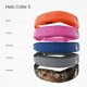 thumbnail image 4 of Estuche Pro para Collar Halo 5 + Kit de Correa Blaze, 4 of 4