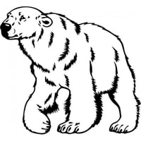 Rienda Libre Graphics - Decomural Polar Bear Arctic Animals Ws-32887