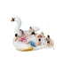 thumbnail image 4 of Isla Flotante Cisne, 4 of 6
