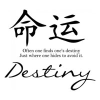 Rienda Libre Graphics - Decomural Destiny Chinese Symbol Ws-34116