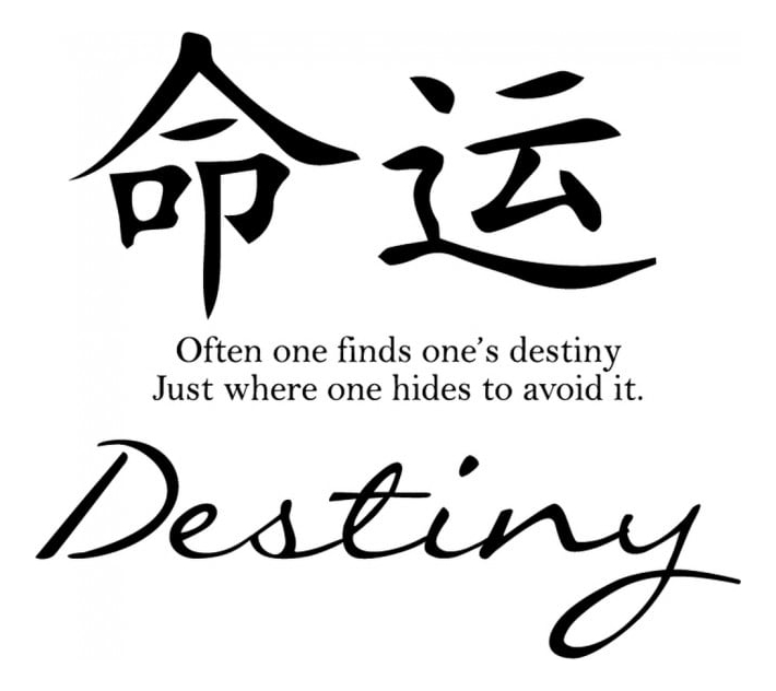 Rienda Libre Graphics - Decomural Destiny Chinese Symbol Ws-34116