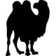 thumbnail image 1 of Decomural Camel Egyptian Animal WS-32731, 1 of 2