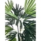 thumbnail image 2 of Planta Decorativa Palmera Raphis 150cm, 2 of 3