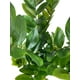 thumbnail image 2 of Planta Zamifolia 110cm Artificial / 11 Ramas, 2 of 2