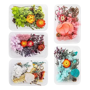 Genérico - Flores Secas Reales Cajas Variadas