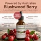 thumbnail image 3 of Tintura para mascotas Aussie Pure Blushwood Berry 120 ml, 3 of 9