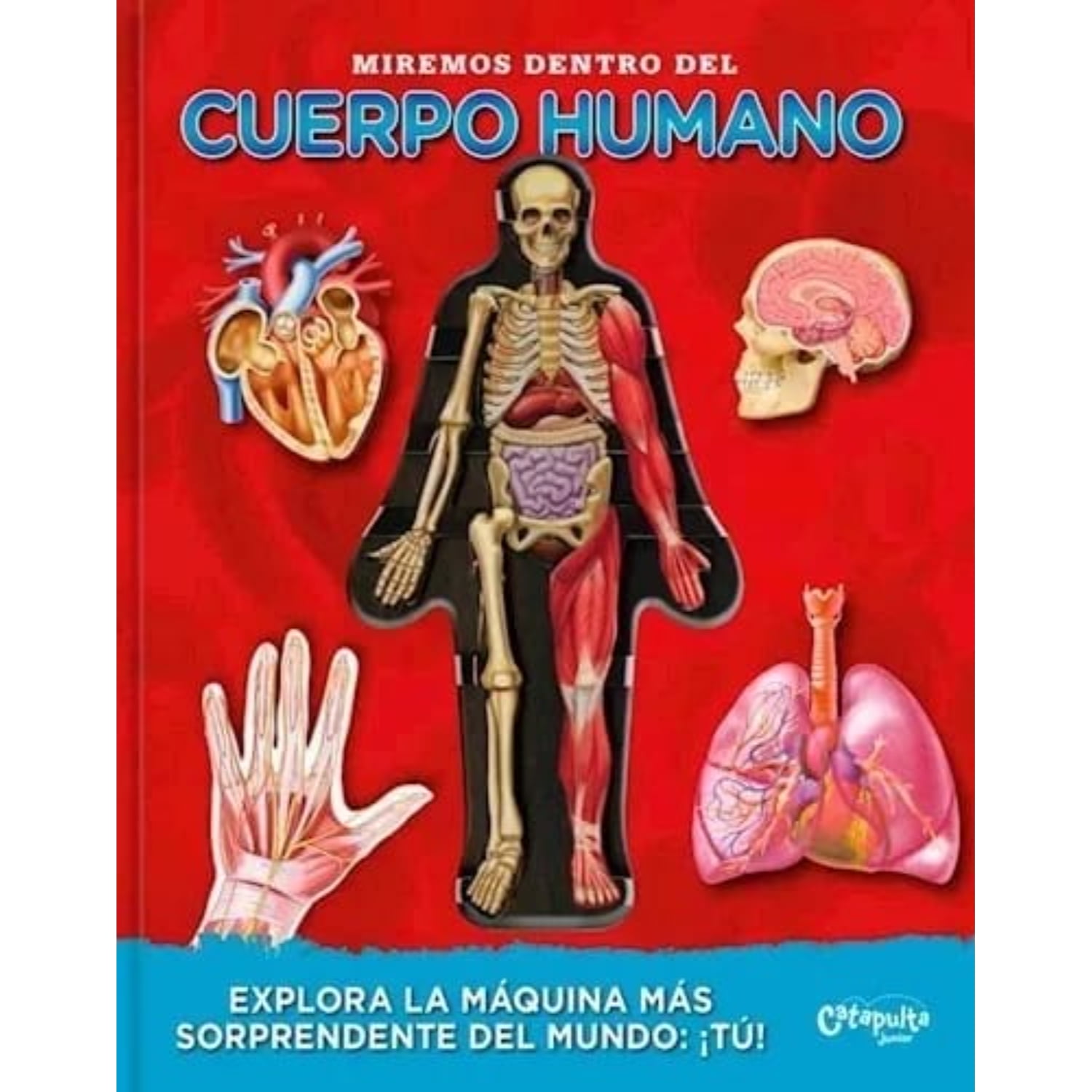 Catapulta Junior - Libro Miremos Dentro Del Cuerpo Humano