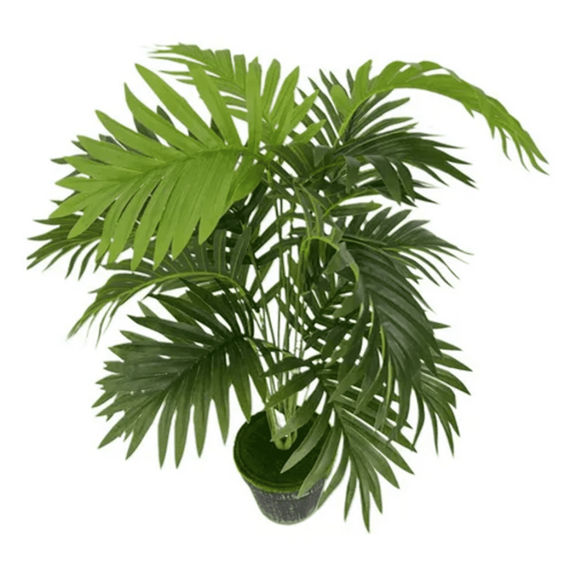 Genérico - Planta Artificial Árbol Decoración