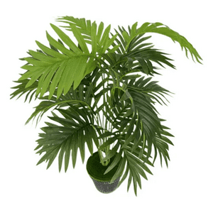 Genérico - Planta Artificial Árbol Decoración