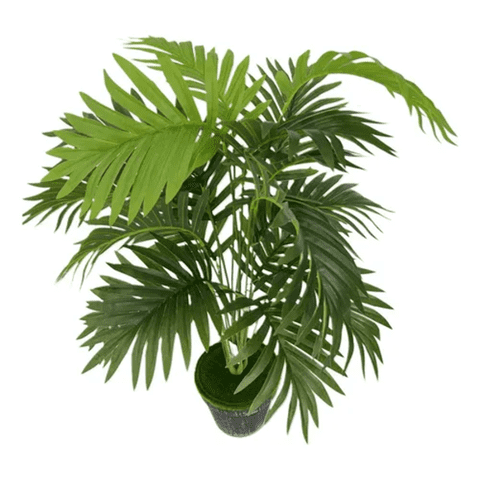 Genérico - Planta Artificial Árbol Decoración