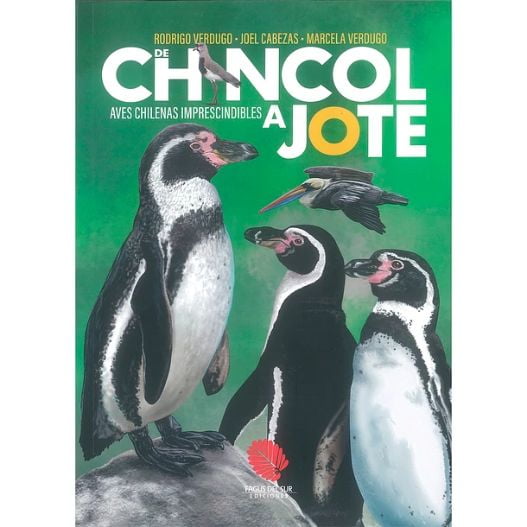 De Chincol A Jote. Aves Chilenas Imprescindibles