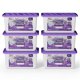 thumbnail image 1 of Juego de 6 deshumidificadores W&E Choice 500 ml con aroma a lavanda, 1 of 9