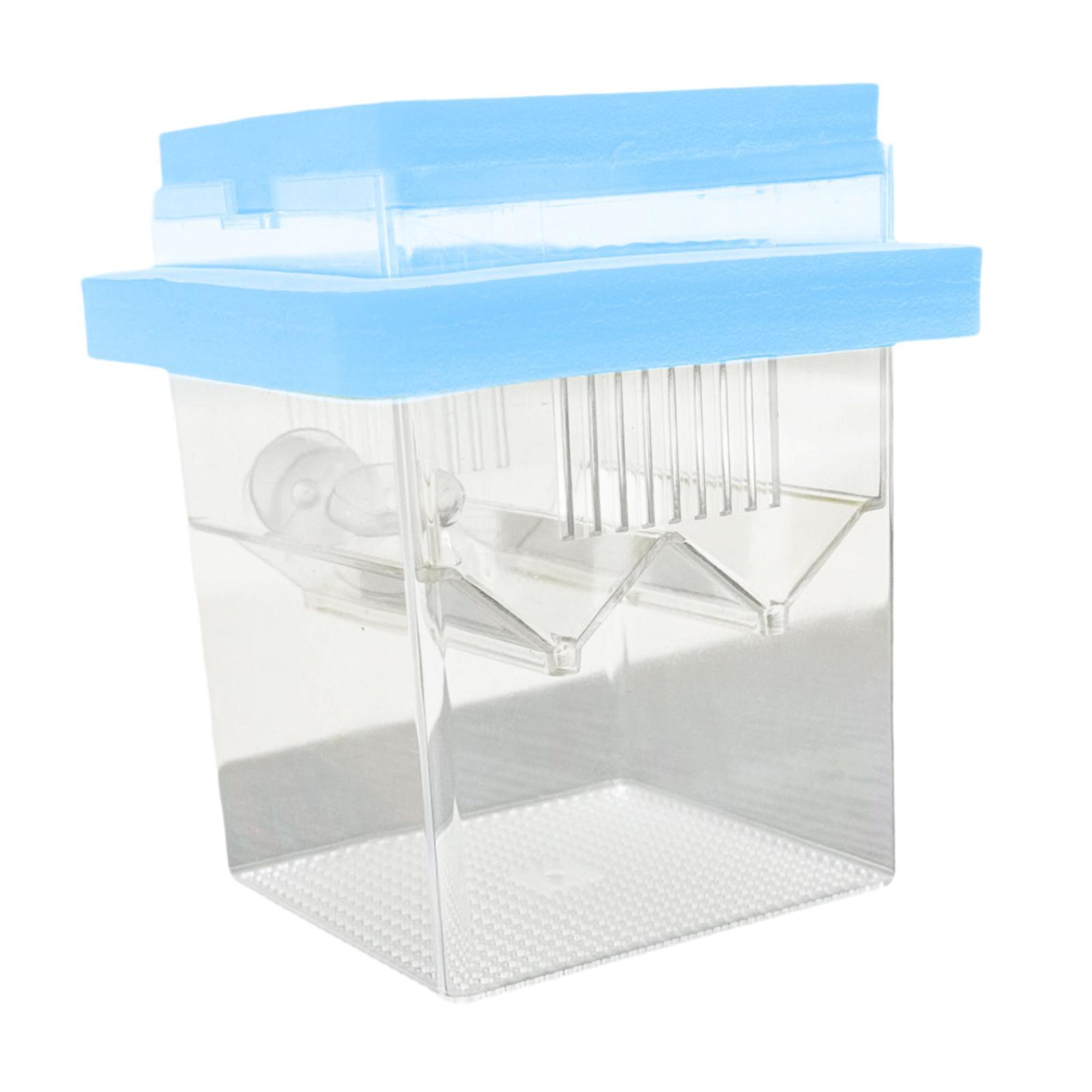 Magideal - Caja De Crianza Flotante Caja Reproductora De Peces Nurserería Separación Hatchery Caja De Aislamiento De Pescado Para Pescados Para Bebés Camarones, Azul