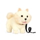 thumbnail image 1 of Cachorro Pomeranian, 1 of 2
