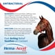 thumbnail image 5 of Spray para el cuidado de heridas V.E.T. PHARMACEUTICALS Hema-Accel 473 ml, 5 of 6
