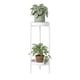 thumbnail image 1 of Porta Macetero Pedestal Para Plantas 2 Niveles Estante M blanco, 1 of 9