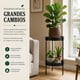 thumbnail image 5 of Porta Macetero Pedestal Para Plantas 2 Niveles Estante M negro, 5 of 9