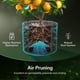 thumbnail image 5 of Macetas de tela Grow Bags VIVOSUN para trasplantes, paquete de 5 unidades, 3,8 litros, 5 of 7