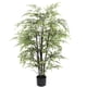 thumbnail image 2 of Bamboo Negro de 120 cm, 2 of 2