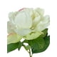 thumbnail image 3 of Peonia Blanca 45cm Con Acabado Natural, 3 of 3