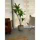 thumbnail image 2 of Planta Artificial Dracaena Premium 165 cm. / 90 Hojas, 2 of 8