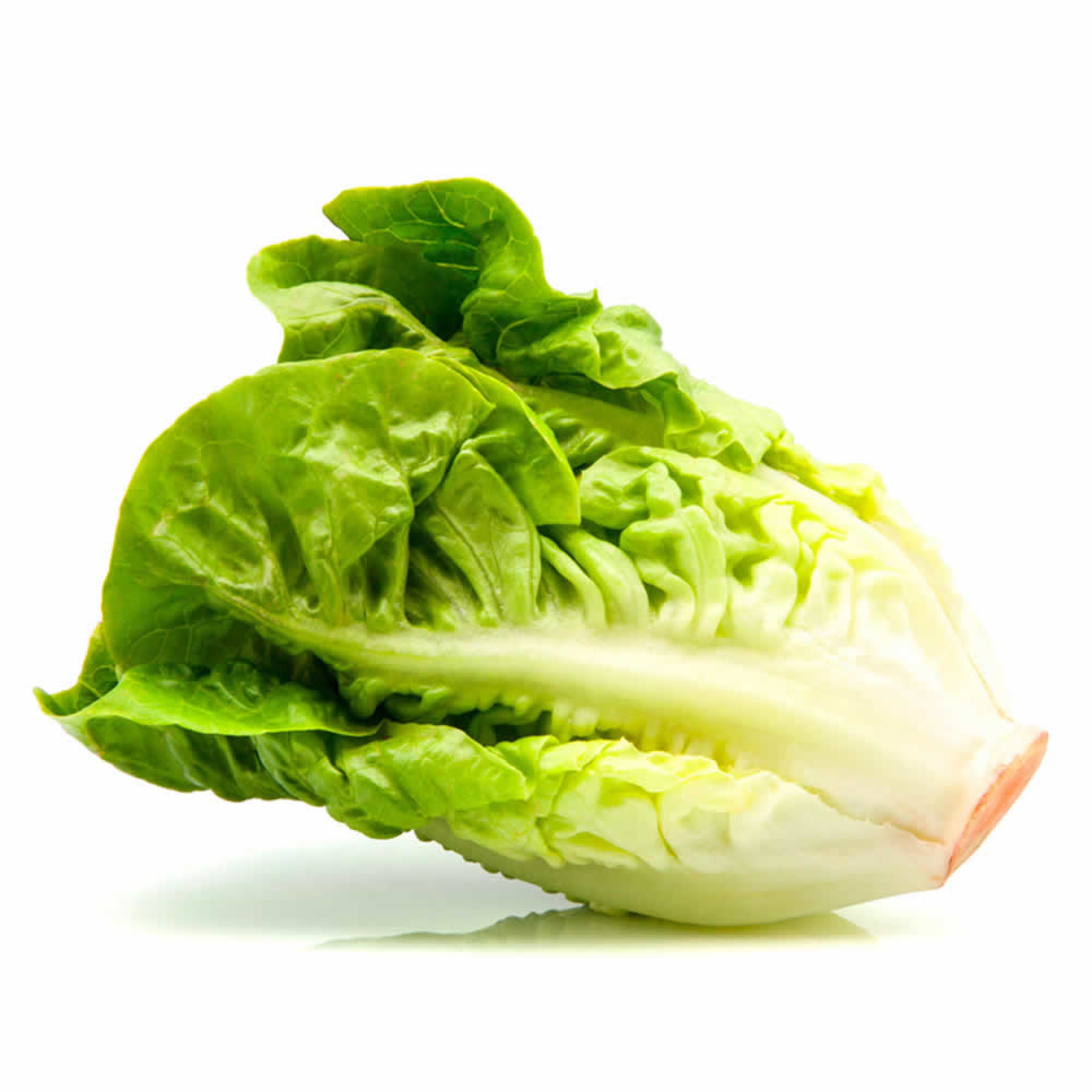 Lechuga Milanesa Bolsa 1 Un