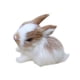 thumbnail image 5 of Mini conejo de peluche realista,Juguete de conejo peludo realista,Mini modelo,Conejo peludo realista en miniatura para accesorios de fotografía para, 5 of 5