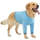 thumbnail image 1 of Funda de recuperación para perros Aimydog con protector de codo, azul, talla L, 1 of 6