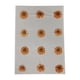 thumbnail image 3 of 12 Flores Prensadas Secas Para Manualidades, Marcapáginas, Sobres, Fabricación De Jabón, Color Naranja, 3 of 5