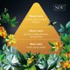 thumbnail image 4 of Perfume nou Jasminum Floral para mujer 50 ml EDP, 4 of 9